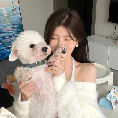 桃花坞开放中